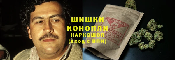 шишки Балабаново