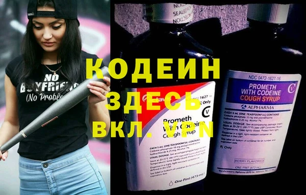 шишки Балабаново