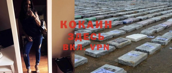 шишки Балабаново