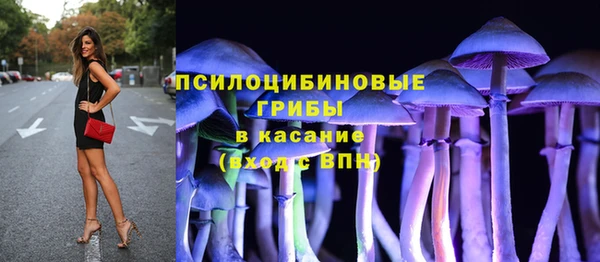 шишки Балабаново