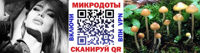 Псилоцибиновые грибы Psilocybine cubensis  даркнет сайт  Кувандык 