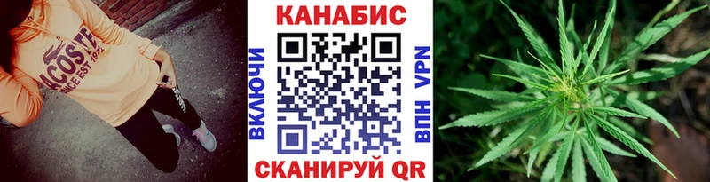 где купить   Кувандык  Бошки Шишки гибрид 